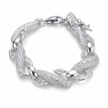 Load image into Gallery viewer, 925 Sterling Silver Chain Bracelet